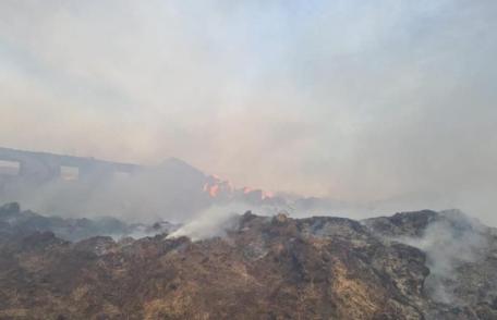 Un adăpost de animale și un depozit de furaje cuprinse de flăcări la Mileanca - FOTO