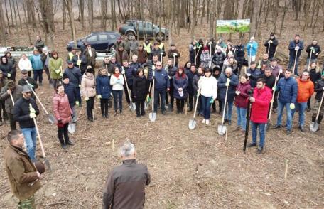 Social-democrații botoșăneni se alătură campaniei „Luna plantării arborilor” 