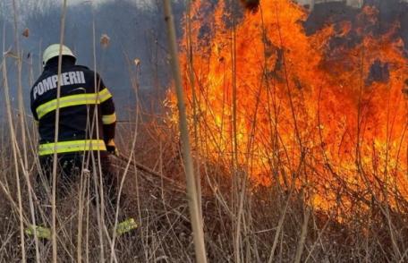  A fost decisă majorarea amenzilor contravenționale pentru arderea miriștilor