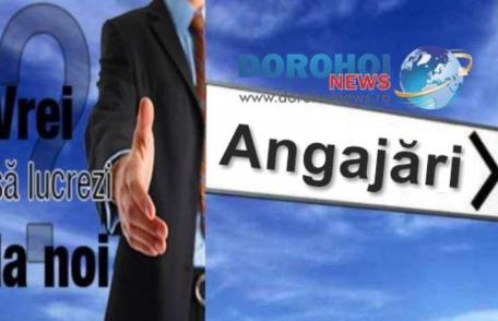 Primăria Dorohoi anunță organizarea concursului de recrutare în vederea ocupării a două funcții de muncitori necalificați