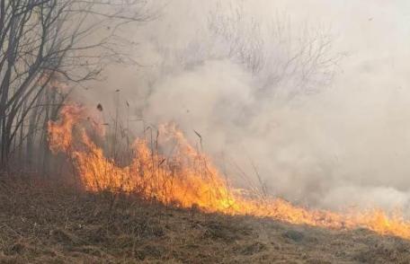 Incendiile continuă în județul Botoșani. Peste 20 de focare în ultimele 24 de ore