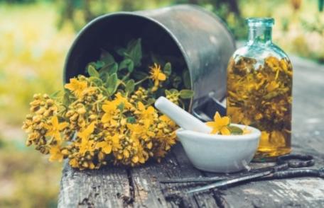 Ce poţi trata cu sunătoare. Planta are beneficii multiple