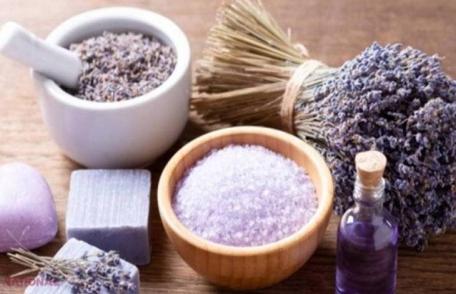 Proprietăți terapeutice pe care le deține lavanda