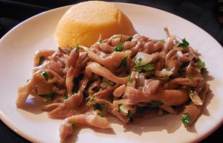 Ciupeci Pleurotus cu mămăligă