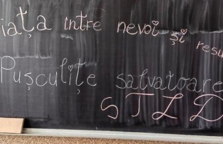 IȘJ Botoșani derulează proiectul județean de Educație financiară „Viața între nevoi și resurse” - FOTO