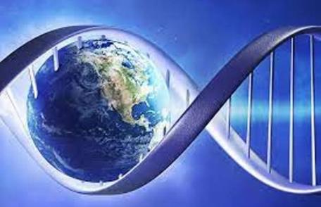 Elevi din Dorohoi premiați la faza națională a Olimpiadei Inderdiscipilinare „Științele Pământului”