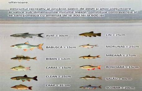 Acțiuni a jandarmilor pe râul Prut și acumulările Bucecea și Rogojești. Amenzi aplicate în lipsa unui permis de pescuit valabil