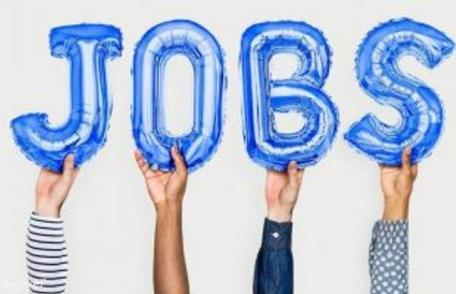 638 locuri de muncă vacante și programe de formare pentru care se organizează înscrieri la AJOFM Botoșani