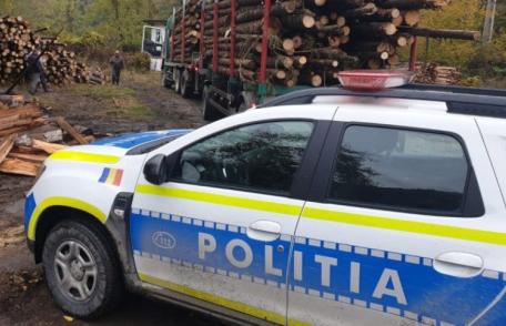 Transporturi ilegale de lemne depistate de polițiștii botoșăneni