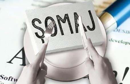 În atenţia absolvenţilor promoția 2022 – termen limită înscriere în evidențele AJOFM Botoșani