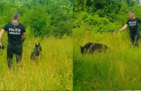 Bătrân de 85 de ani dat dispărut, căutat de 20 voluntari, 18 polițiști și un câine de urmă