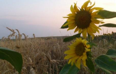 Prognoza meteo pentru luna august! Meteorologii au anunțat ce ne așteaptă în perioada următoare