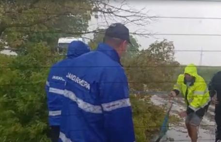 Copac rupt de furtună care bloca un drum, îndepărtat de jandarmii care se întorceau dintr-o misiune