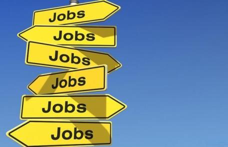 AJOFM Botoșani anunță peste 250 de locuri de muncă vacante în Uniunea Europeană