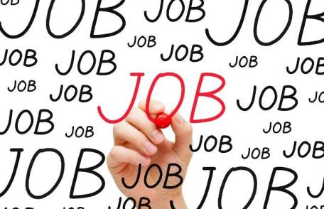 Peste 2300 de persoane angajate prin intermediul AJOFM BOTOȘANI în primele șase luni ale anului