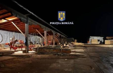 Percheziții uriașe în toată România! Poliția Română s-a mobilizat în două dosare de spălarea banilor, tăiere fără drept de arbori şi delapidare