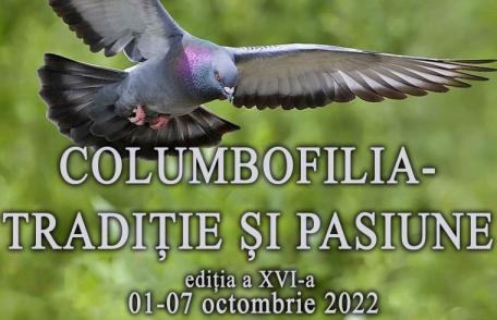 DOROHOI: Expoziția temporară „Columbofilia – tradiție și pasiune”, ediția a XVI-a