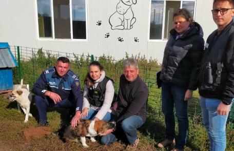 Acțiune a polițiștilor din cadrul Biroului pentru Protecția Animalelor