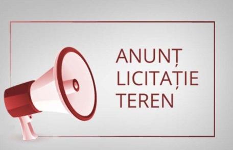 Primăria Dorohoi: Anunţ de participare la licitaţie pentru concesiune bunuri; PRIVAT