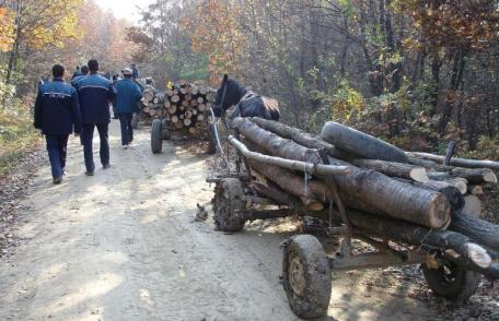Acțiuni ale polițiștilor pentru combaterea infracțiunilor la regimul silvic