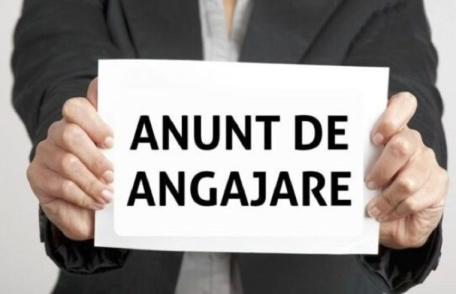 Primăria comunei Ibănești organizează concurs pentru funcția de inspector