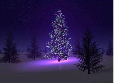 Filiala Partidului România Mare urează tuturor dorohoienilor CRĂCIUN FERICIT 