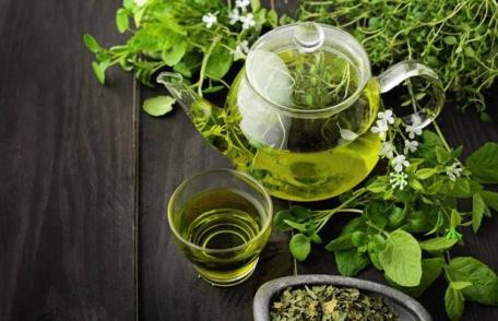 Tratamente din plante pentru o digestie sănătoasă