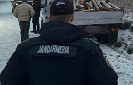 Lemne fără documente de proveniență confiscate de jandarmii botoșăneni - FOTO