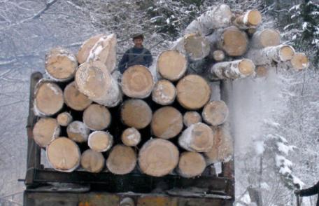 Sancțiuni de peste 5000 lei aplicate de polițiștii din Ștefănești pentru transport ilegal de lemne