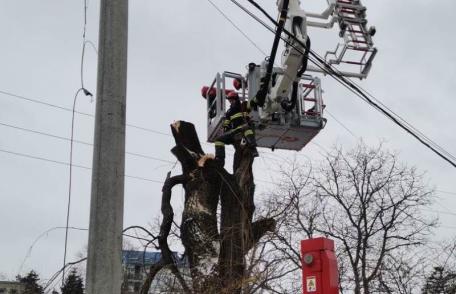 Intervenție a pompierilor pentru toaletarea unui copac care putea fi un pericol pentru trecători - FOTO
