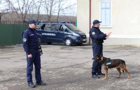 O altfel de zi la Jandarmeria Botoșani - FOTO