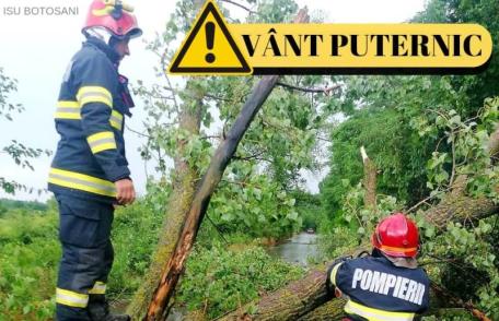 COD GALBEN de intensificări ale vântului și precipitații mixte