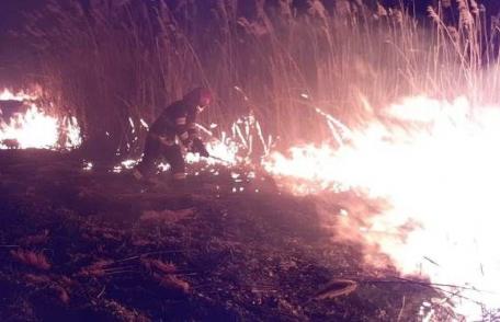 Incendiu la marginea localității Vlăsinești. Flăcările au mistuit un hectar de vegetație uscată și stuf - FOTO