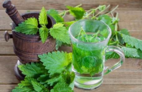 Cura cu ceai de urzici. Ce se întâmplă în corp dacă bei în fiecare zi două căni, timp de o lună