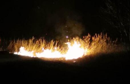 Incendiu de vegetație la marginea municipiului Dorohoi. 13 hectare distruse de flăcări - FOTO