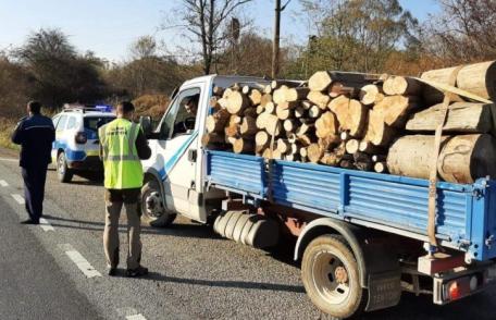Trafic ilegal cu lemne! Polițiștii dorohoieni au aplicat amenzi și au confiscat material lemnos