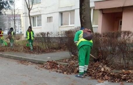 Primaria Dorohoi începe campania de curățenie în tot orașul în cadrul „LUNII CURĂȚENIEI”