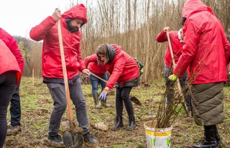 Proiectul „Pentru o Românie Verde” demarat la Botoșani - FOTO