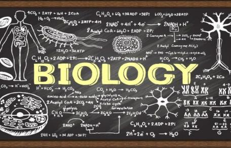 Două eleve din Dorohoi vor reprezenta județul Botoșani la etapa națională a olimpiadei de biologie