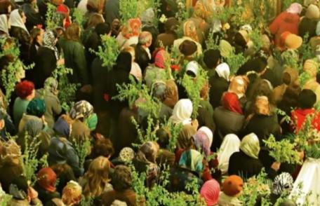 La ce se folosesc, de fapt, ramurile de salcie. Tradiții și obiceiuri de Florii