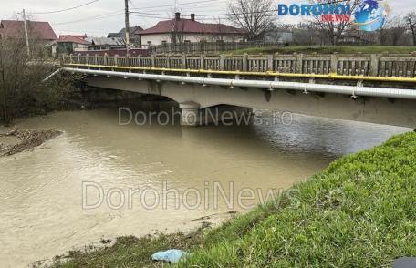 Cod Galben de inundații. Apa continuă să crească pe râurile Buhai și Jijia, fiind atinsă cota de atenție - FOTO