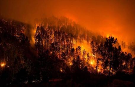 Pentru toți cei care vor petrece ziua de 1 Mai în natură: Protejați pădurea!