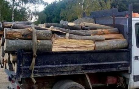 Amendă și material lemnos confiscat pentru lipsa documentelor la Șendriceni