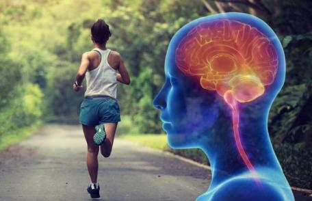Beneficii pe care sportul le are asupra creierului
