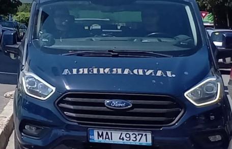 Bărbat amendat de jandarmi după ce a lăsat un câine agresiv liber pe stradă