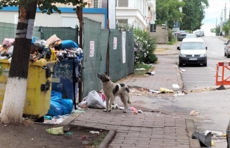 Primim la redacție – Mutarea unor containere de gunoi creează neplăceri pe o stradă din Dorohoi - FOTO