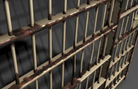 Bărbat condamnat pentru fals în declarații arestat de polițiștii botoșăneni