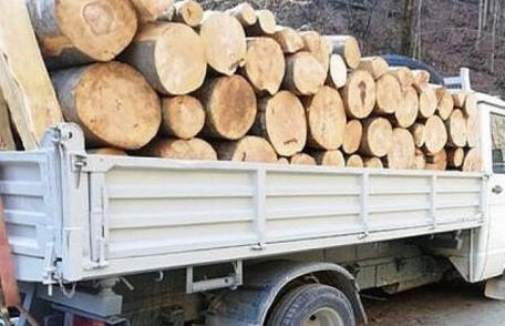 Material lemnos cu documente care nu corespundeau cu realitatea confiscat de polițiști