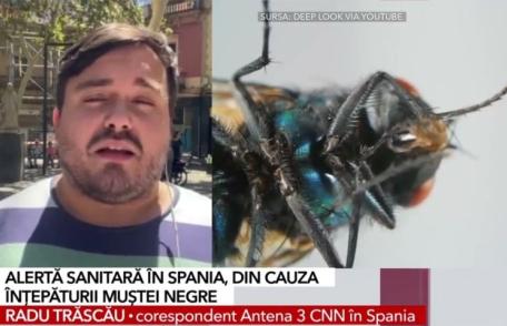 Alertă sanitară în Spania. Tot mai mulți oameni ajung la spital din cauza rănilor provocate de înțepătura de muscă neagră