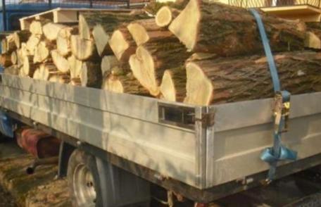Material lemnos fără documente legale confiscat la Ibănești